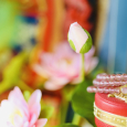 Dâu Hồng Tỳ Hưu - Làm Dịu Những Căng Thẳng - Chiêu Tài